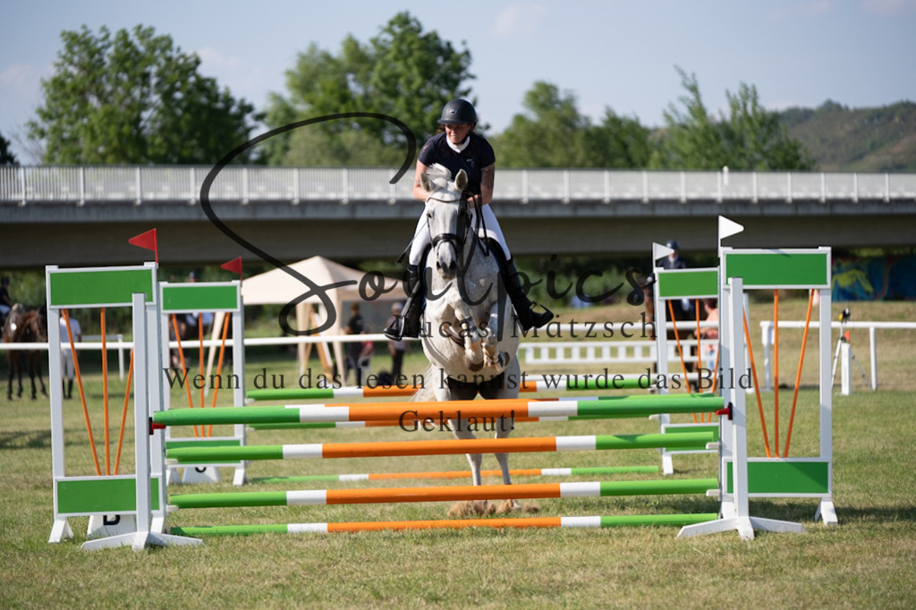 A7V00686 | Pferdefotograf