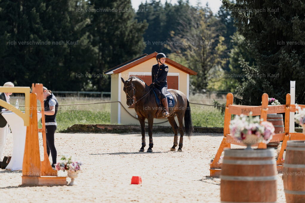 Mirjam25_FHC2025-08686 | working equitationturnier fotograf videograf stoibphotography marixx film working equitation deutschland reitsport turnierfotografie eventfotografie equestrian events