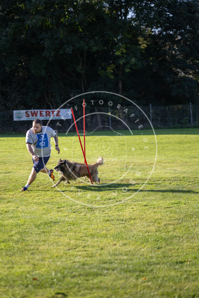 Pfotenfotografie.de_DV3A3405 | Hundefotografie, Tierfotograf, Pfotenfotografie, Fotoshooting Hund, Hunde Portrait, Hundesport, Hundeportraits, Heideshooting, Hunde, Sportfotograf, Hundefotograf, Turnierhundsport, THS, canicross - Realisiert mit Pictrs.com