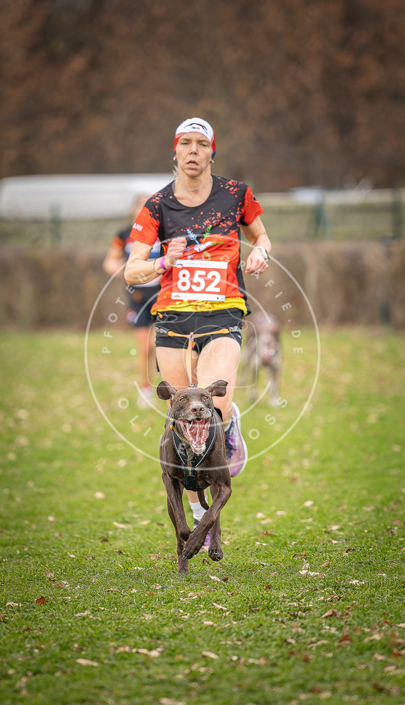 CaniXpix_DV3A6371 | Hundefotografie, Tierfotograf, Pfotenfotografie, Fotoshooting Hund, Hunde Portrait, Hundesport, Hundeportraits, Heideshooting, Hunde, Sportfotograf, Hundefotograf, Turnierhundsport, THS,  - Realisiert mit Pictrs.com