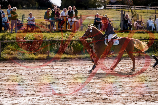 2026_10_03_Siefer-Hof_144706_Z81_23834460 | Professionelle Reitsport-, Turnier- und Eventfotografie von Robert Broda. Galerien mit ausgewählten und bearbeiteten Bildern direkt online ansehen und bestellen.