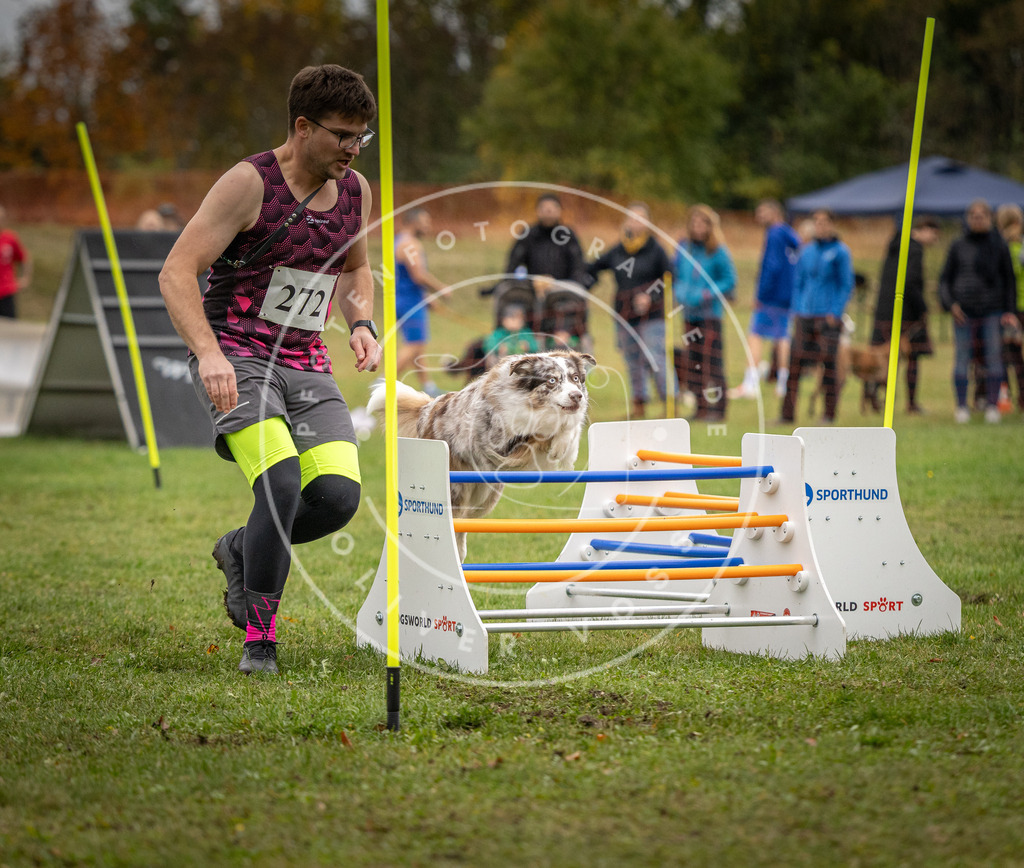 Pfotenfotografie_DV3A9788 | Hundefotografie, Tierfotograf, Pfotenfotografie, Fotoshooting Hund, Hunde Portrait, Hundesport, Hundeportraits, Heideshooting, Hunde, Sportfotograf, Hundefotograf, Turnierhundsport, THS,  - Realisiert mit Pictrs.com