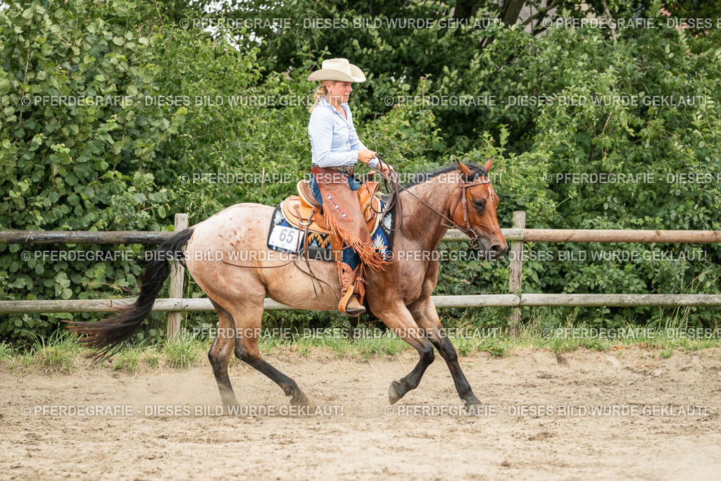 DSC04541 | Pferdegrafie