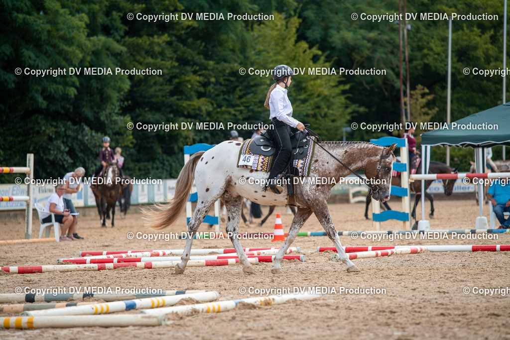 ZS2_7578 | dv-media-shop - Realisiert mit Pictrs.com