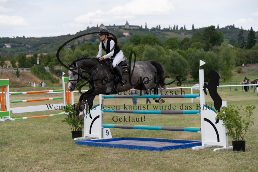 A7V02450 | Pferdefotograf