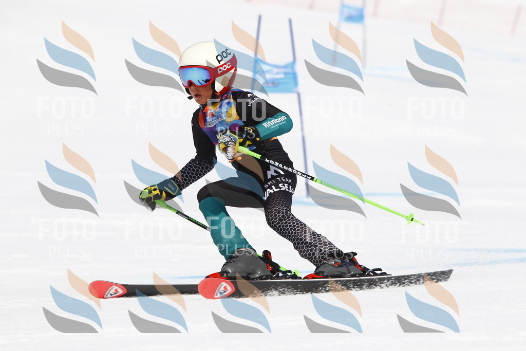 _U3G5066 | holidayphoto