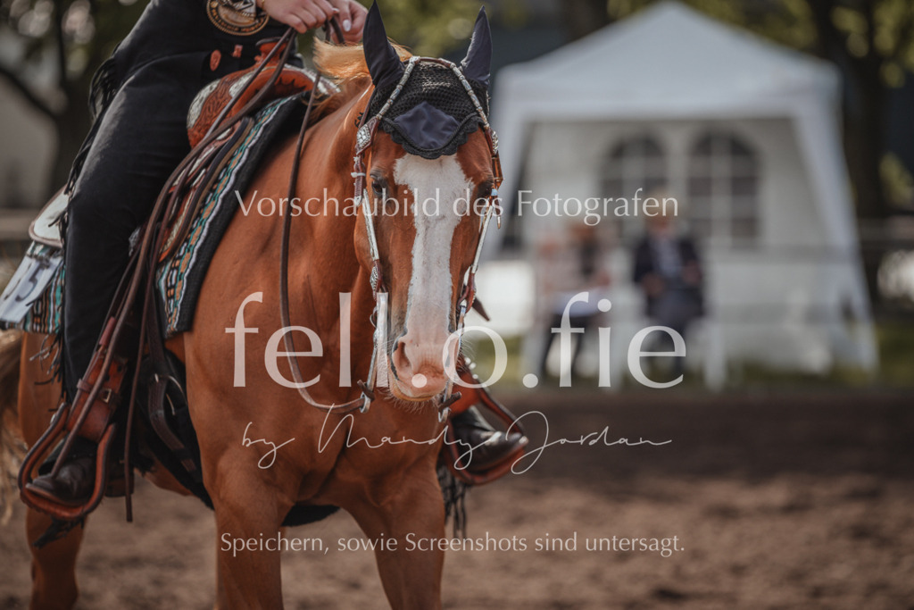 fell.o.fie_mandyjordan_2024_06_01418 | Mandy Klecke Fellfotografie, fell.o.fie Fotografenshop - Realisiert mit Pictrs.com