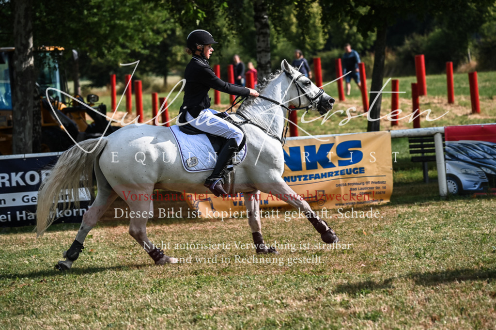 DSC_7720 | Pferde- und Turnierfotografie in Westsachsen. Pferdeportraits, Auftragszeichnungen und intuitive Kunst.