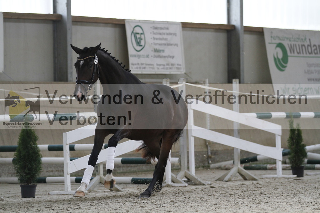 _MG_9835 | equestrian-live-com