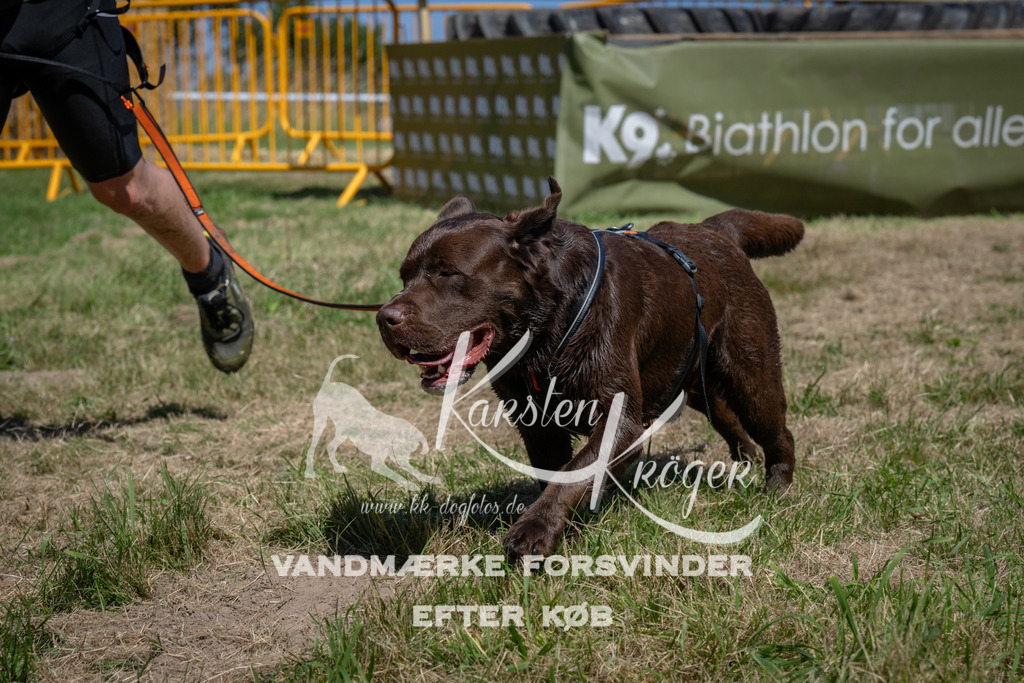 1316_ZZ98586 | kk-dogfotos