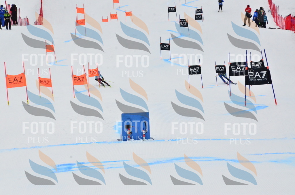 _ELE3619 | holidayphoto