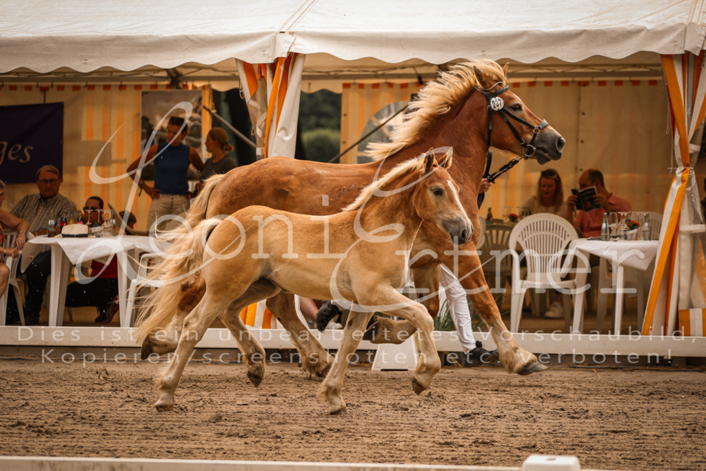 SaSF00112 | Leoni Ertmer Photography - Realisiert mit Pictrs.com