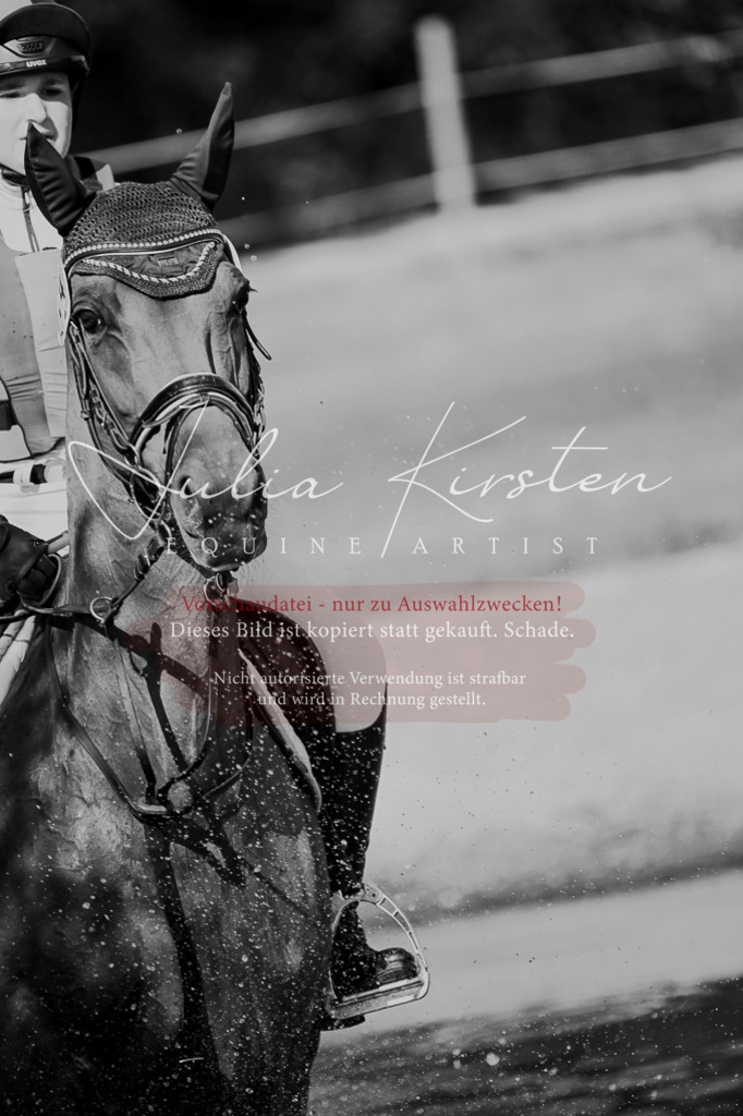 DSC_8705 | Pferde- und Turnierfotografie in Westsachsen. Pferdeportraits, Auftragszeichnungen und intuitive Kunst.