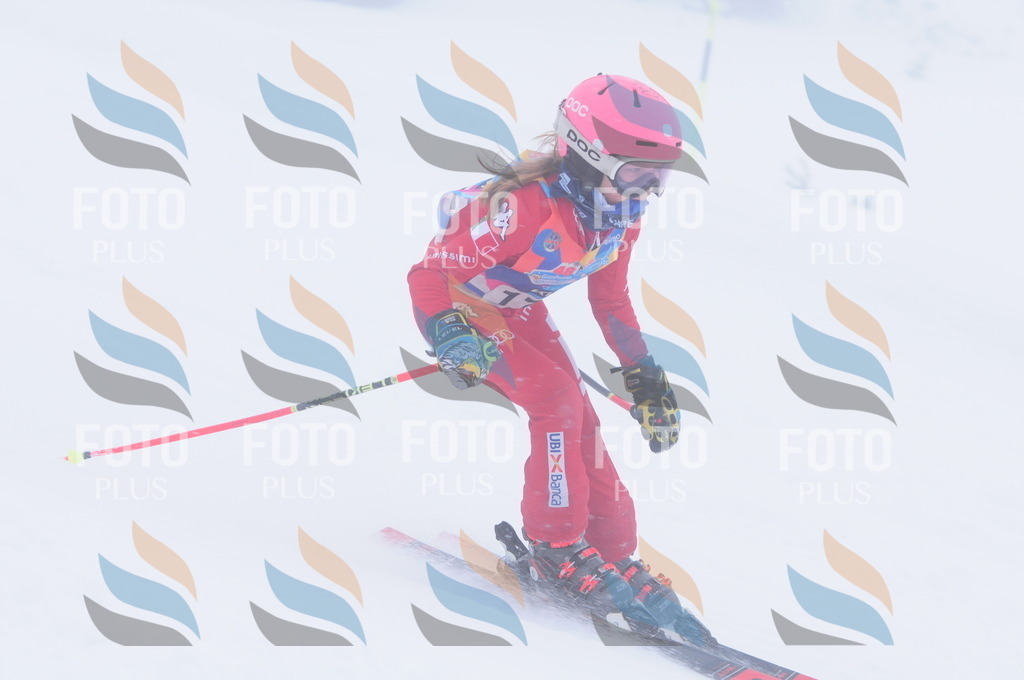 C2048 | holidayphoto