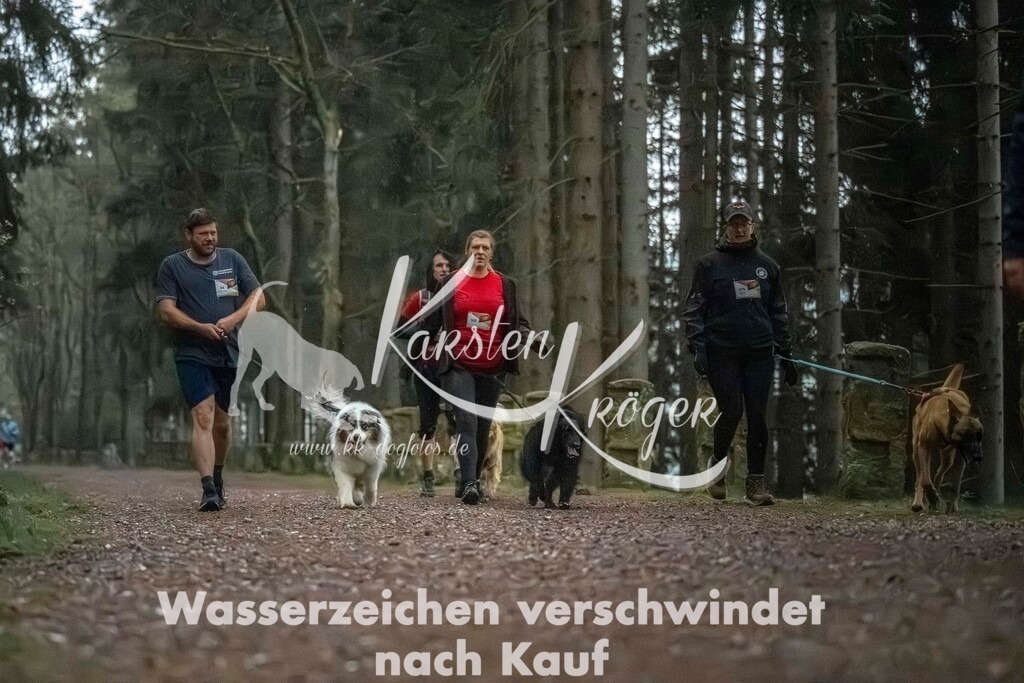 0834_ZZ92031 | kk-dogfotos