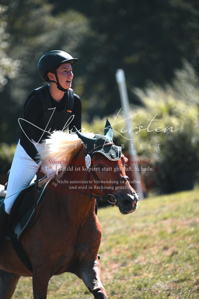 DSC_8086 | Pferde- und Turnierfotografie in Westsachsen. Pferdeportraits, Auftragszeichnungen und intuitive Kunst.