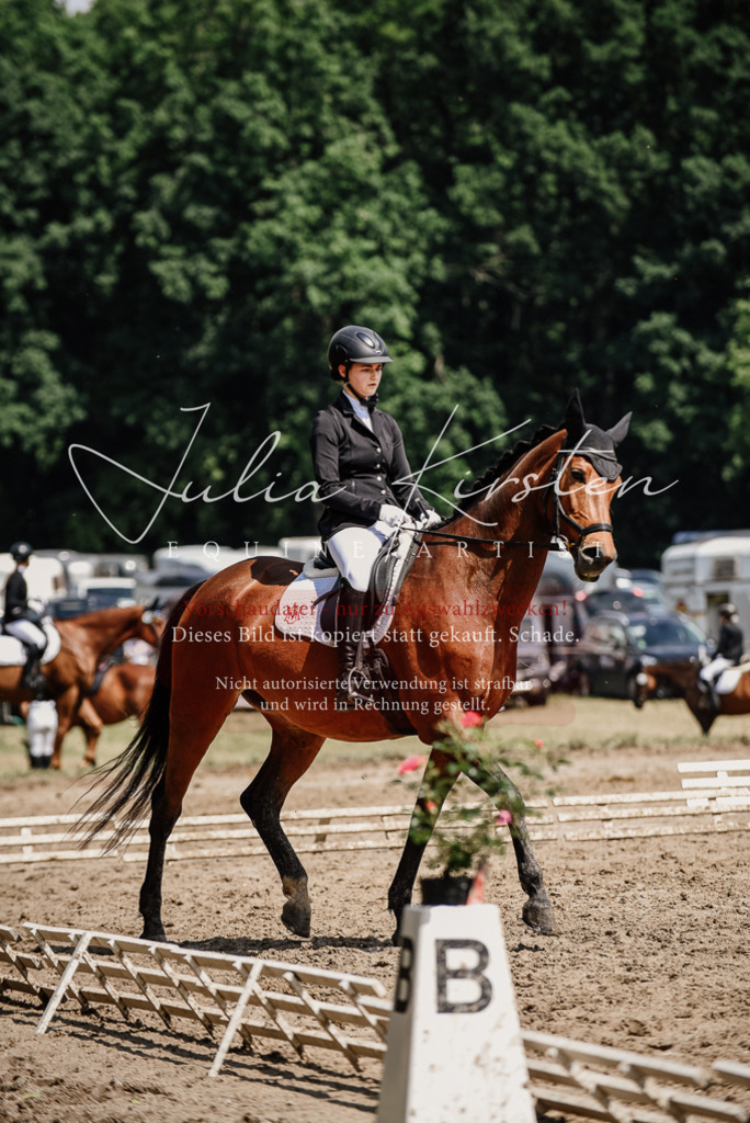 DSC_0993 | Pferde- und Turnierfotografie in Westsachsen. Pferdeportraits, Auftragszeichnungen und intuitive Kunst.
