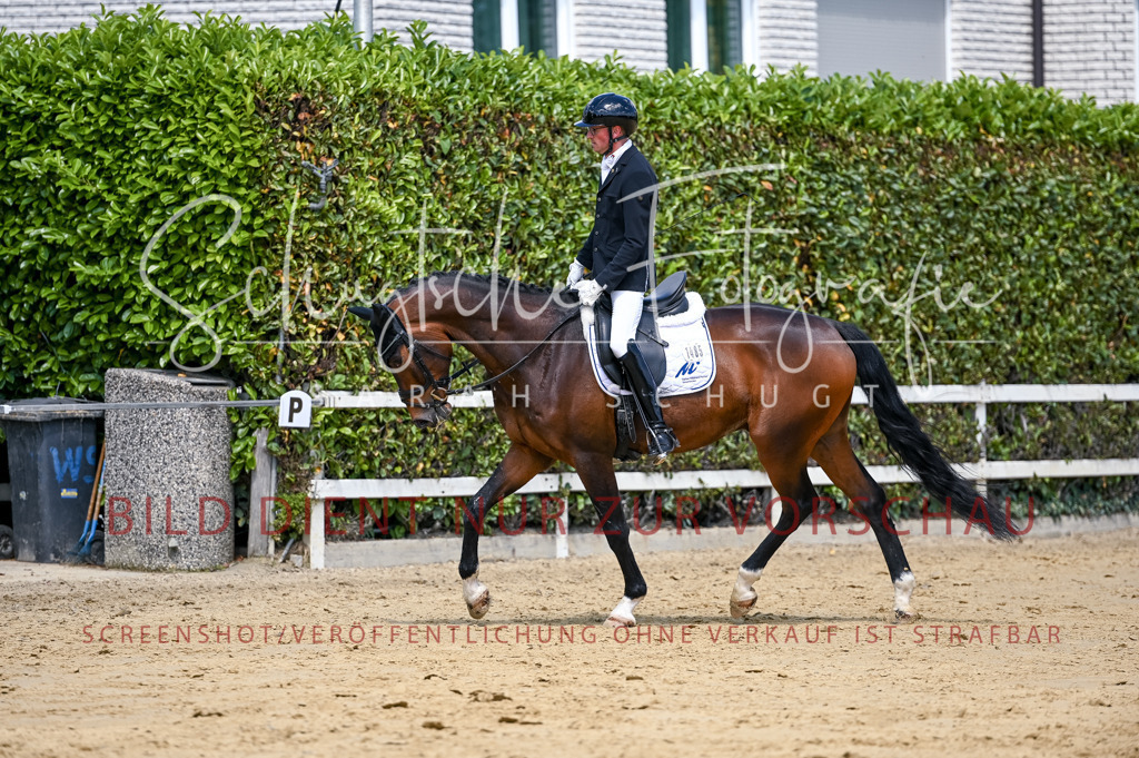 Schugtsche-Aluta25-49.Dressurpferdeprf.A-181 | Schugtsche Fotografie - Realisiert mit Pictrs.com