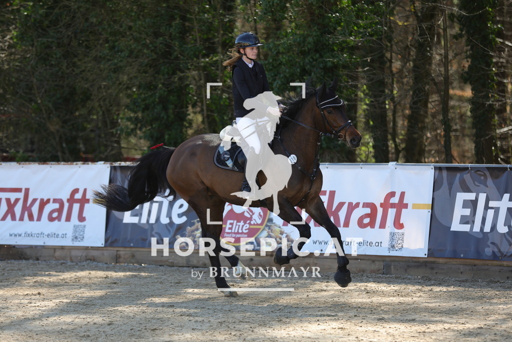 0P6A7828 | Willkommen bei Brunnmayr - Design & Fotografie – Ihrem Spezialisten für Reitturniere und Pferdeveranstaltungen in Oberösterreich, Salzburg und Bayern! Seit über 17 Jahren sind wir leidenschaftlich dabei.
