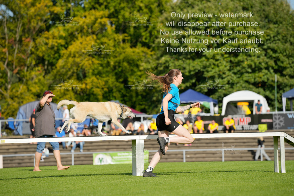 Samstag_CSC (1257 von 2023) | stephaniefillaphotographie - Realisiert mit Pictrs.com