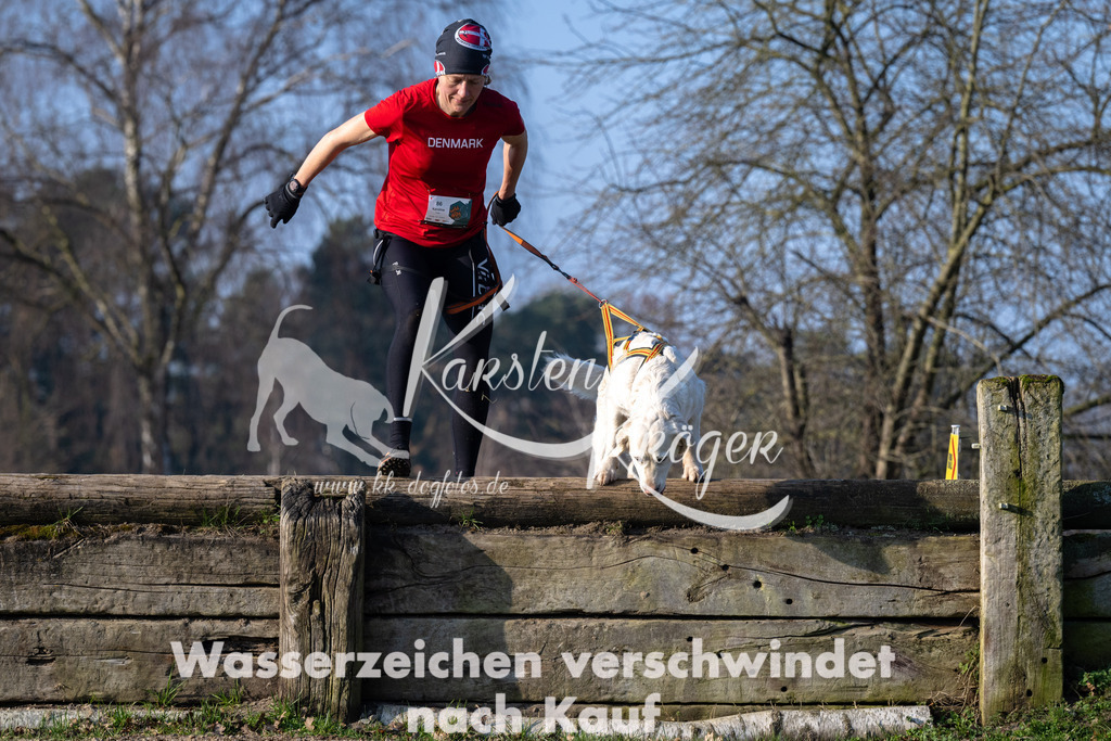 _ZZ93367 | kk-dogfotos