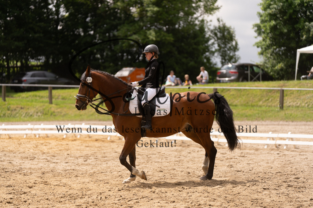 A7505933 | Turnier/Reitfotograf