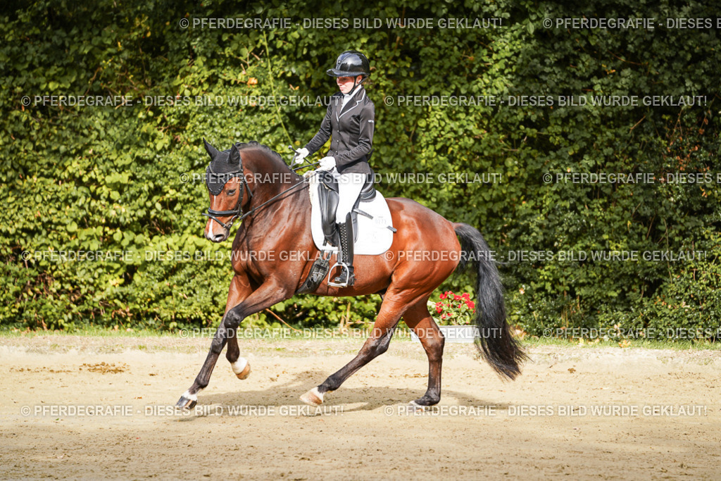 DSC09221 | Pferdegrafie