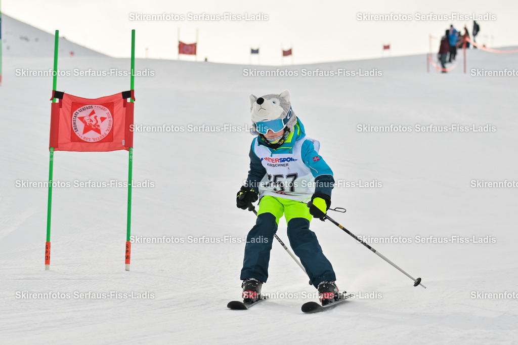 SRS_02.01.2026_0765 | SRS_02.01.2026_0765 - Realisiert mit Pictrs.com