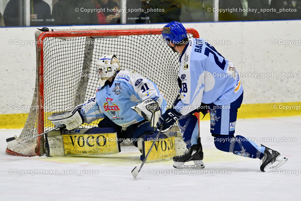  EHC Althofen vs. ESC Steindorf 9.3.202 | #31 Steiner Paul, #28 Bacher Stefan, Tor EHC Althofen