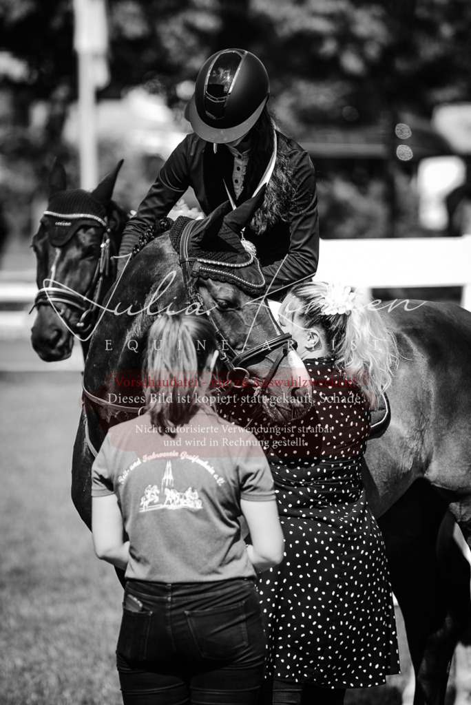 DSC_2623 | Pferde- und Turnierfotografie in Westsachsen. Pferdeportraits, Auftragszeichnungen und intuitive Kunst.