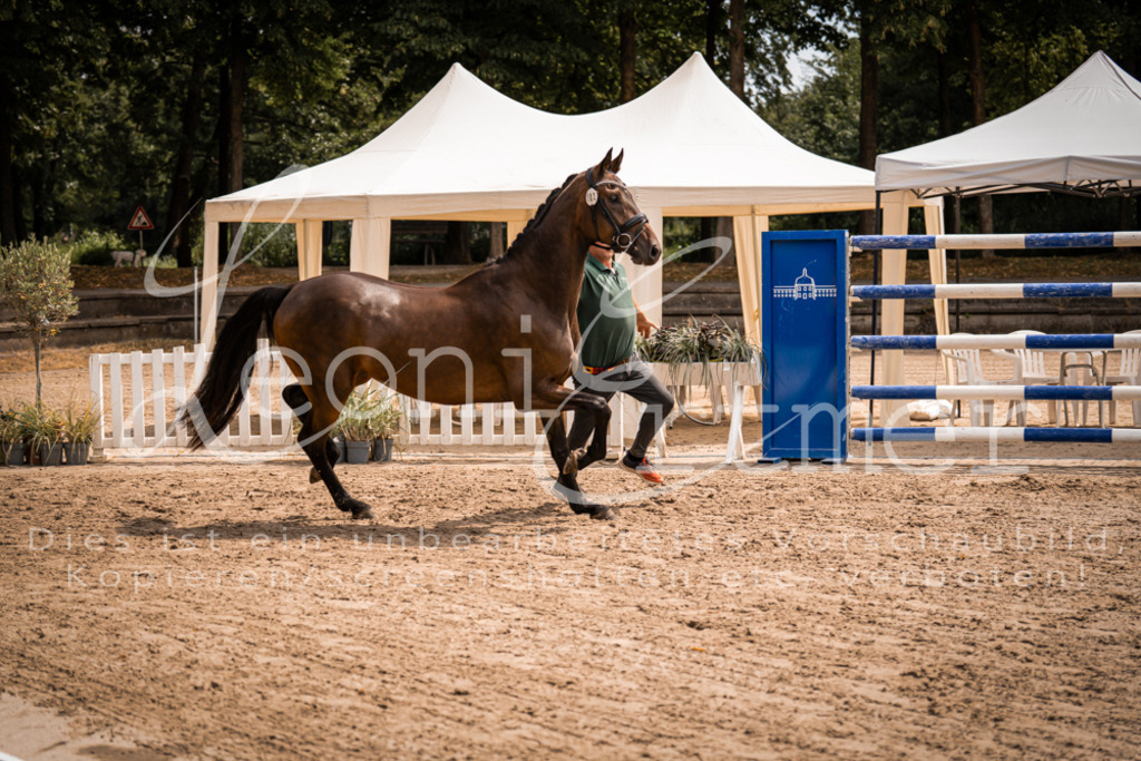 2. Fr00035 | Leoni Ertmer Photography - Realisiert mit Pictrs.com