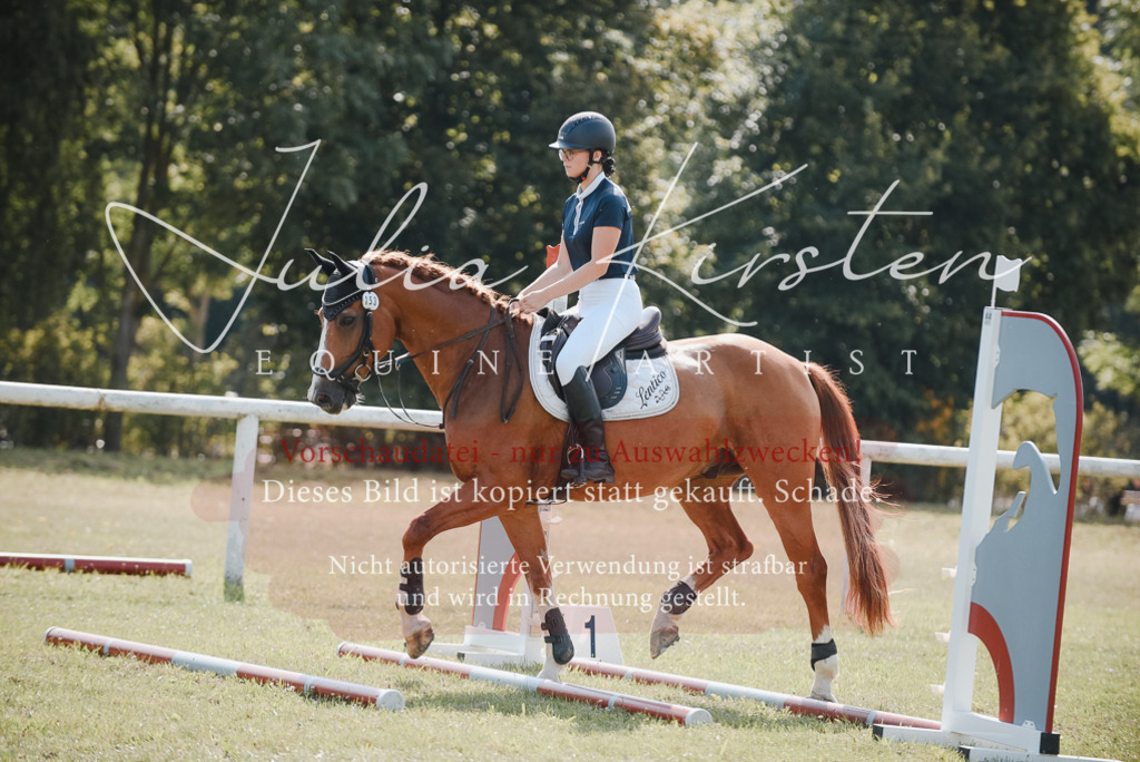 DSC_5340 | Pferde- und Turnierfotografie in Westsachsen. Pferdeportraits, Auftragszeichnungen und intuitive Kunst.