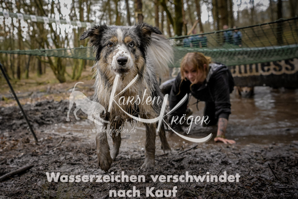 1020_ZZ90703 | kk-dogfotos