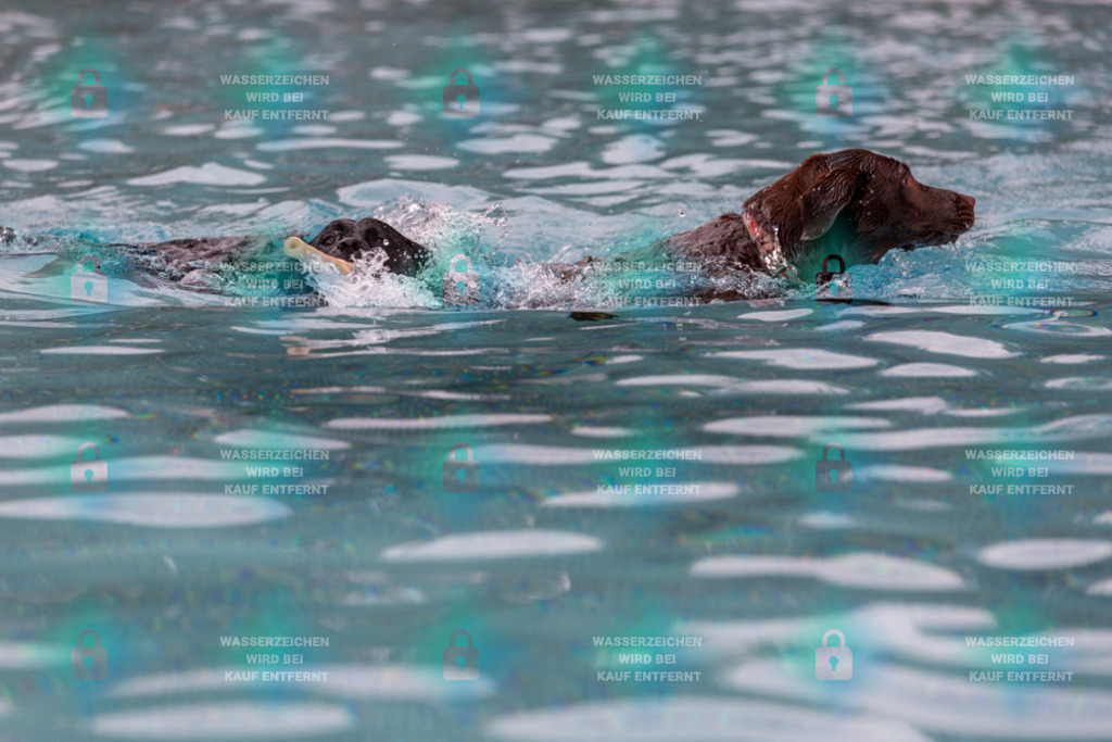 _HP_6305_1000o | HetPix, HetPix Fotodesign, Fotografie, Fotodesign, Webshop, Sportfotografie, Portraitfotografie, Onlineshop, Sportfotografie, Polch, Motorsportfotografie, Eventfotografie