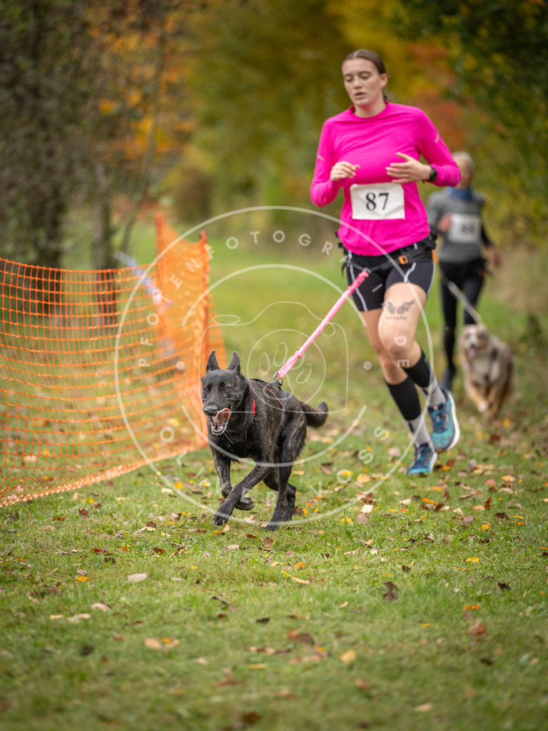 Pfotenfotografie_DV3A3206 | Hundefotografie, Tierfotograf, Pfotenfotografie, Fotoshooting Hund, Hunde Portrait, Hundesport, Hundeportraits, Heideshooting, Hunde, Sportfotograf, Hundefotograf, Turnierhundsport, THS,  - Realisiert mit Pictrs.com