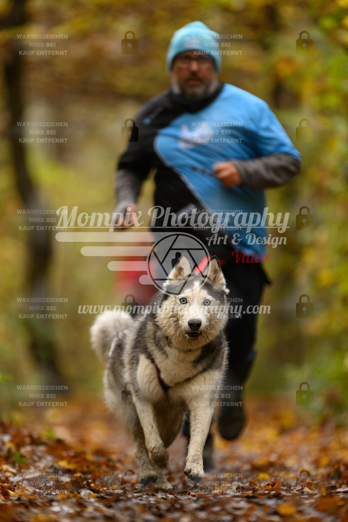 MompixPhotography_CD7S_DI_CCL-75 | mompixphotography