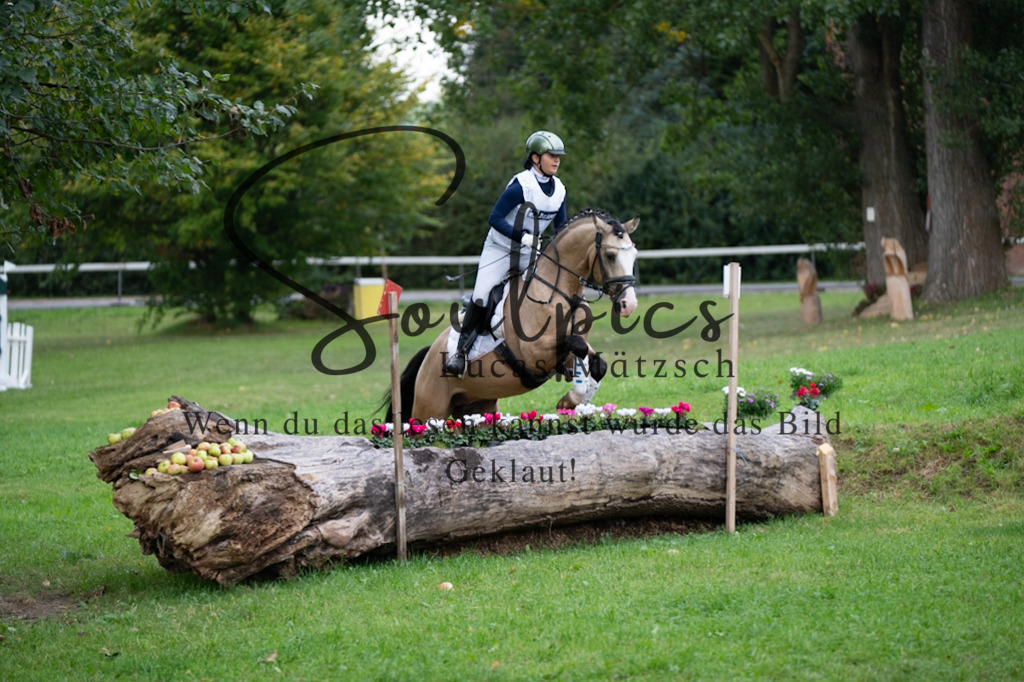 A7V02929 | Pferdefotograf