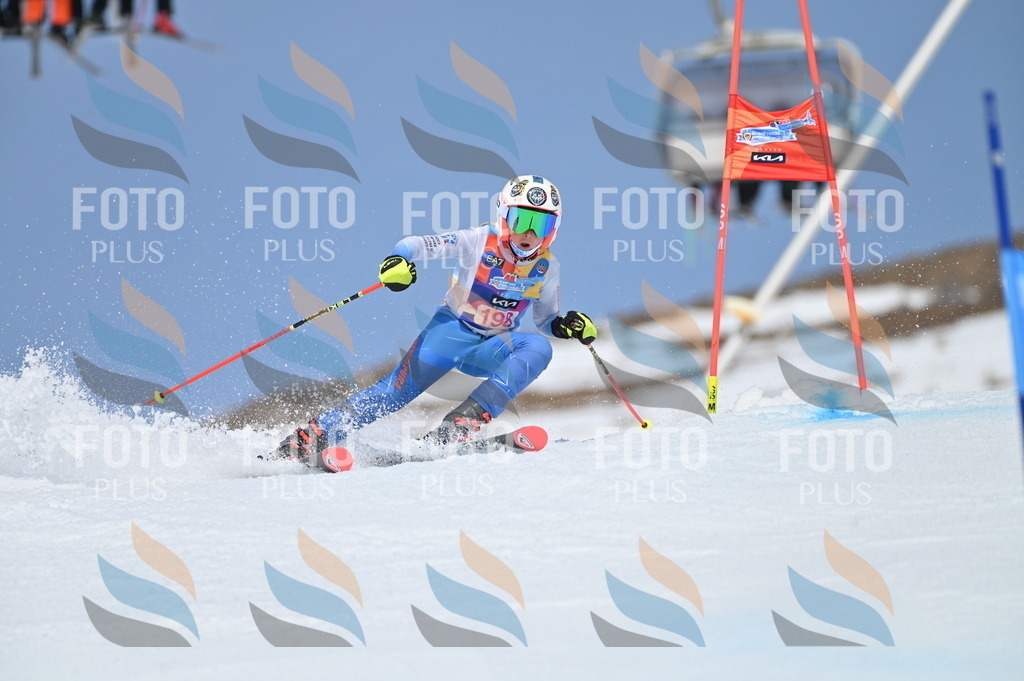 BGV_0933 | holidayphoto