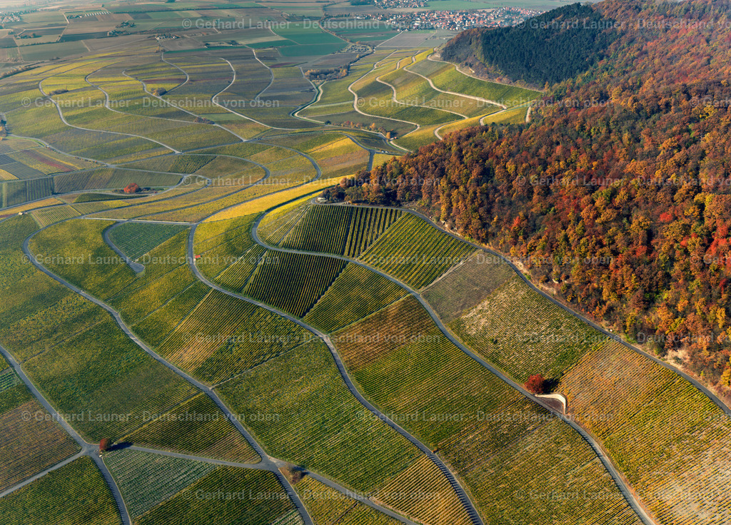 3198564 | Weinbergslandschaft an der Mainschleife bei Escherndorf und Nordheim