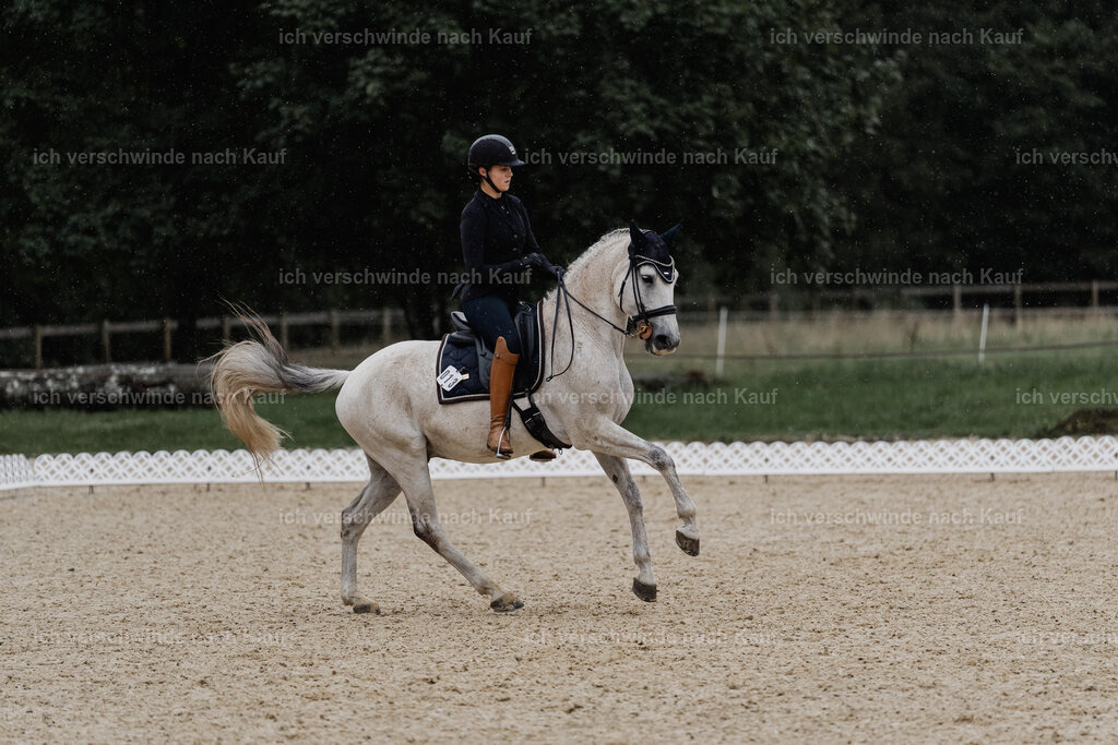 Svea13FHC2025-8468 | working equitationturnier fotograf videograf stoibphotography marixx film working equitation deutschland reitsport turnierfotografie eventfotografie equestrian events