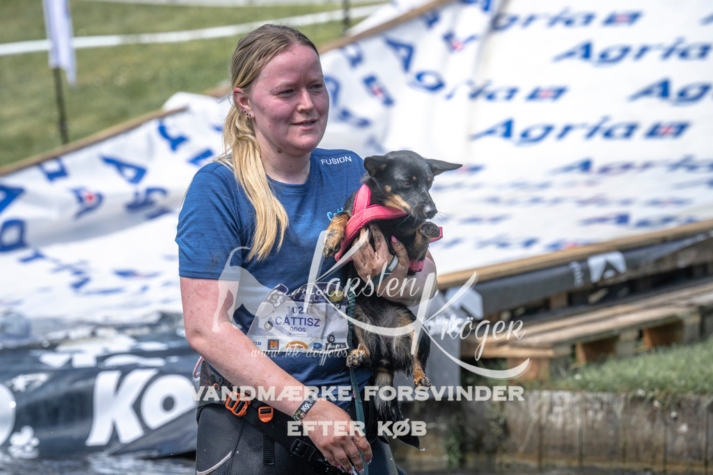 1226_ZZ97465 | kk-dogfotos