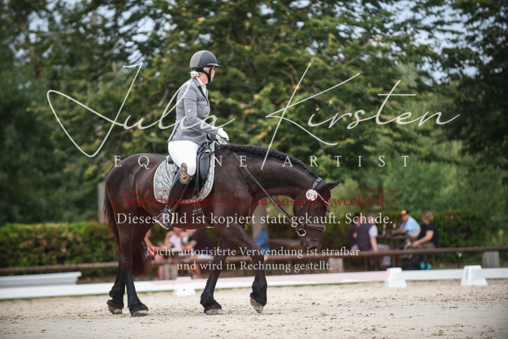 DSC_8343 | Pferde- und Turnierfotografie in Westsachsen. Pferdeportraits, Auftragszeichnungen und intuitive Kunst.