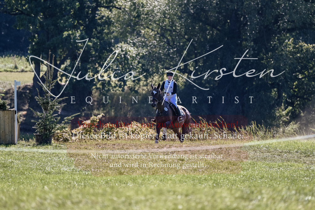 DSC_1821 | Pferde- und Turnierfotografie in Westsachsen. Pferdeportraits, Auftragszeichnungen und intuitive Kunst.