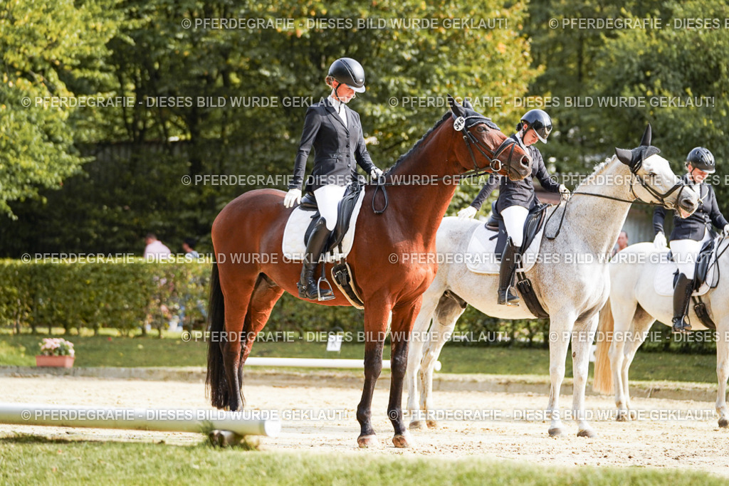 DSC04188 | Pferdegrafie