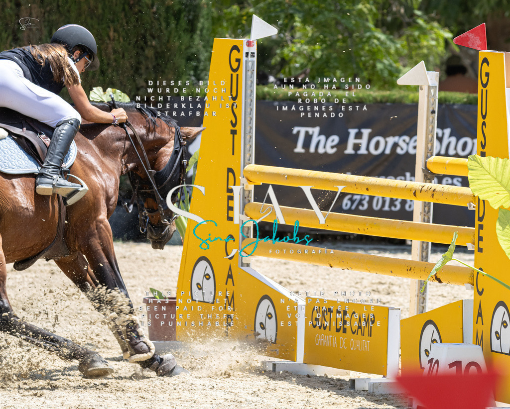 IMG_7534 | s-jay-photography - Realisiert mit Pictrs.com