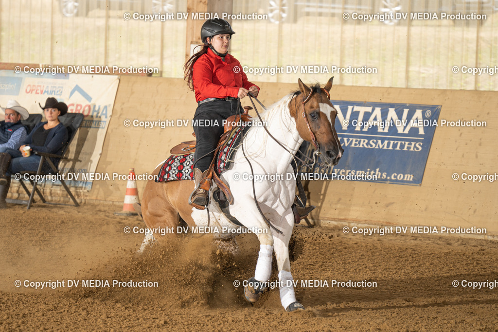 LAU01662 | dv-media-shop - Realisiert mit Pictrs.com