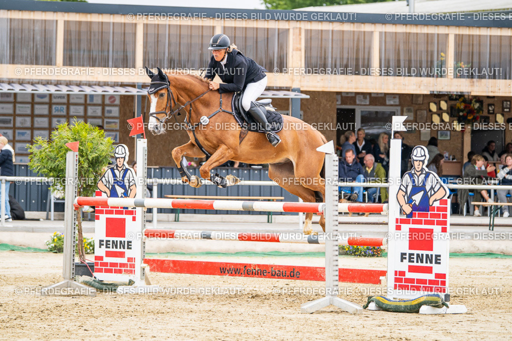 DSC02605 | Pferdegrafie