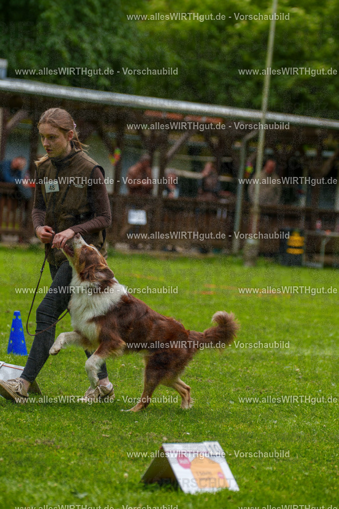 @allesWIRTHgut_Tierfotografie - www.allesWIRTHgut.de - 7R500632 | Professionelle Tierfotografie in Mönchengladbach von Daniel Wirth (allesWIRTHgut). Liebevolle & natürliche Bilder von Hunden & Katzen für unvergessliche Erinnerungen.