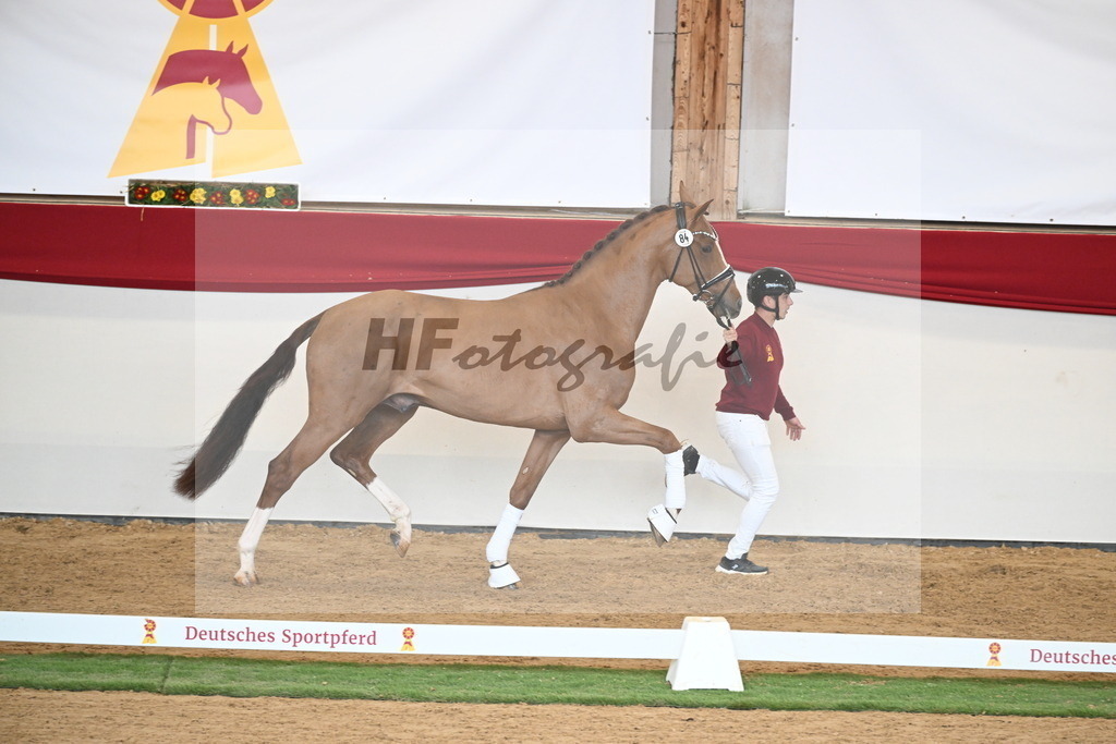 Kat.-Nr. 84 v. Vaderland_van den Oetelaar_2250800 | hf-fotografie - Realizzato con Pictrs.com