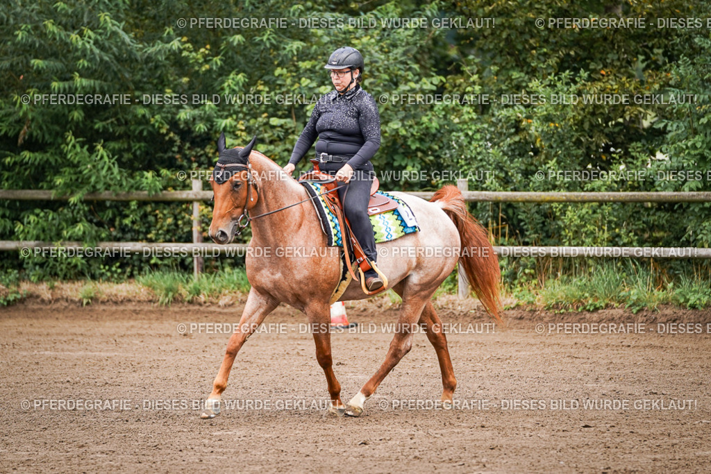 DSC05635 | Pferdegrafie